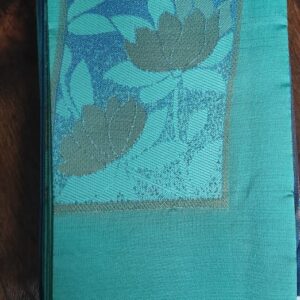 Light green soft silk sareeSSS0004